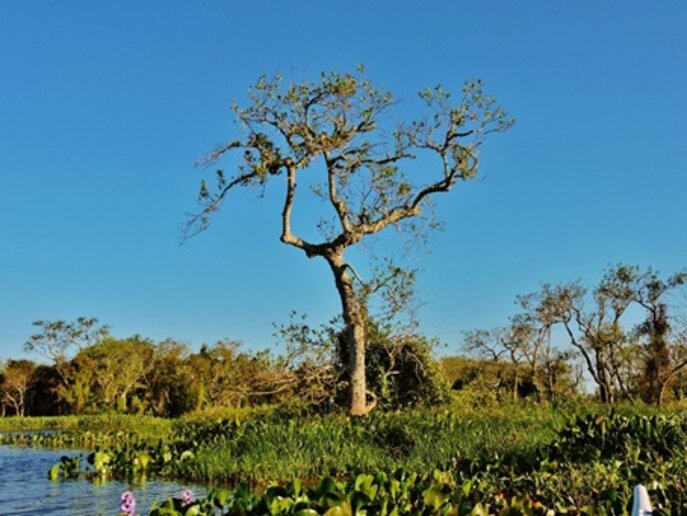 Arroio dos Afogados – Lagoa Mirim, RS