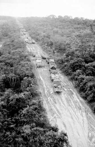 Fila dupla de caminhões prensados pela imensa floresta que parece querer retomar para si o espaço que lhe foi roubado pela rodovia