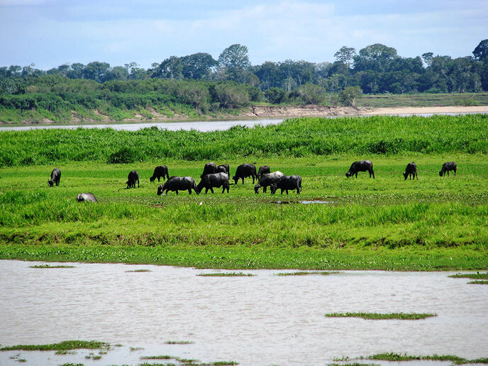 Fazenda do José Holanda