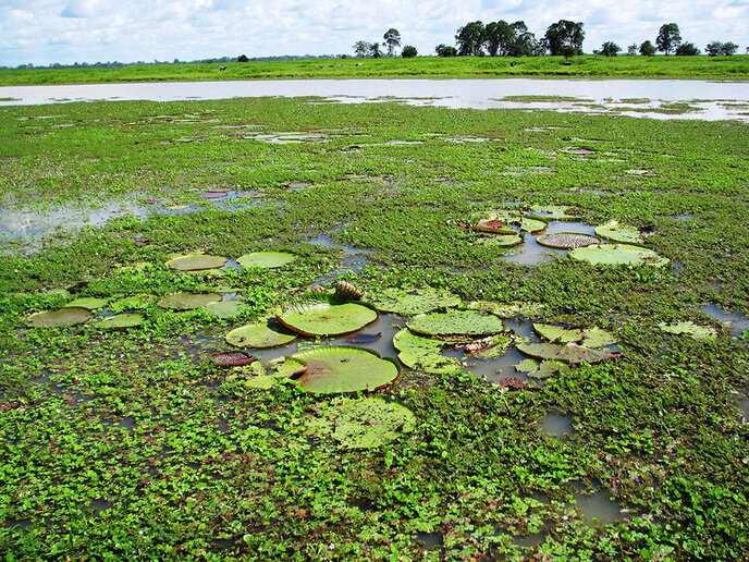 Fazenda do José Holanda