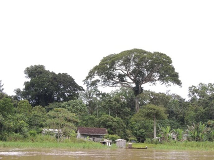 Morada Nova, MA - Boca do Preguiça, AM