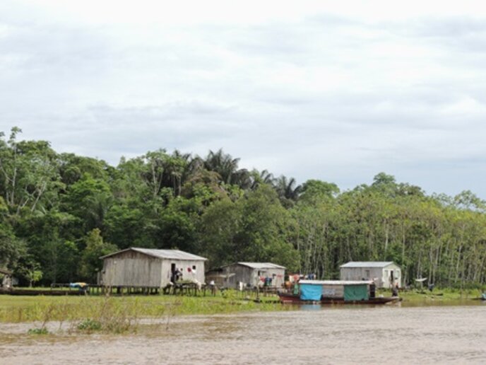 Com. Juanico, AM - Com. Forte das Graças, AM