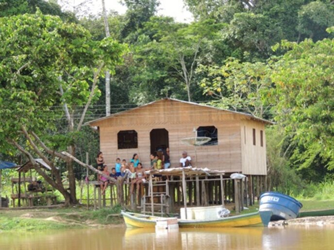 Com. Estirão das Gaivotas - Com. Tamaniquá, AM