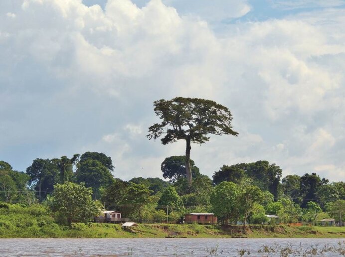 Rio Solimões