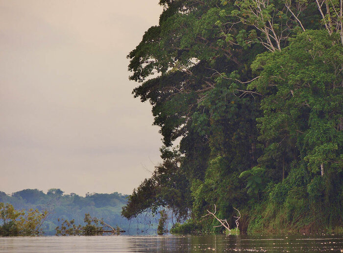 Rio Solimões