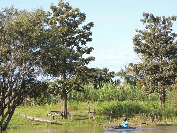 Rio Solimões