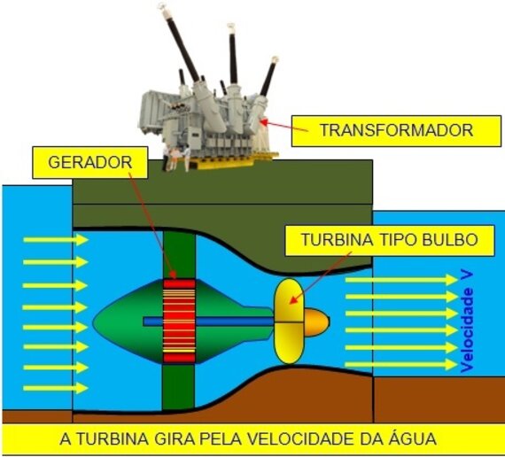 Turbina bulbo