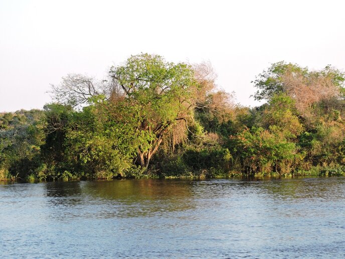 Rio Paraguai, MS