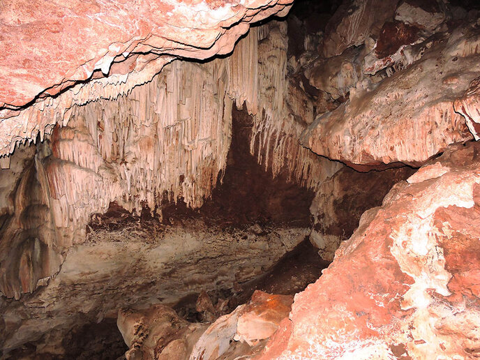 Gruta Ricardo Franco