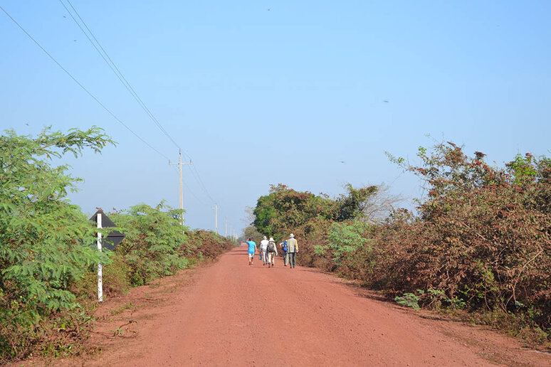 Estrada Boiadeira