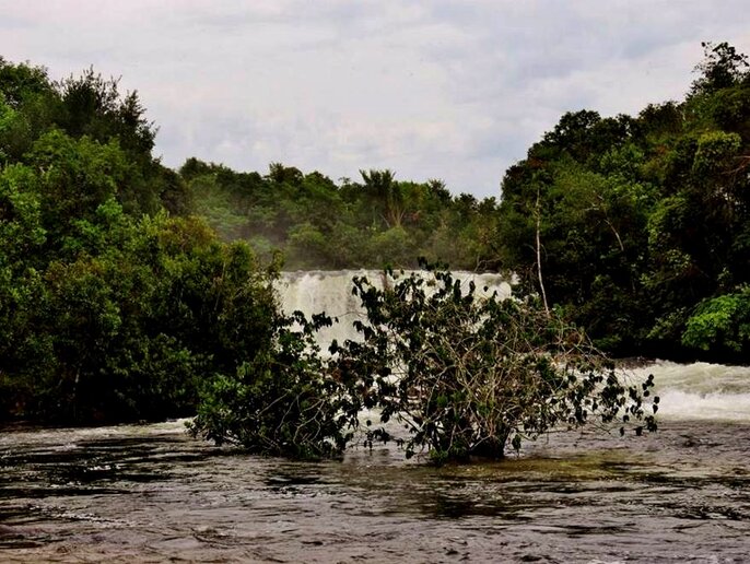 Salto da Mulher