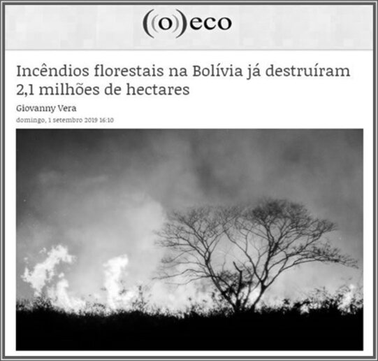www.oeco.org.br (01.09.2019)