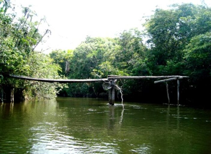 Ponte da Linha Telegráfica (2015)