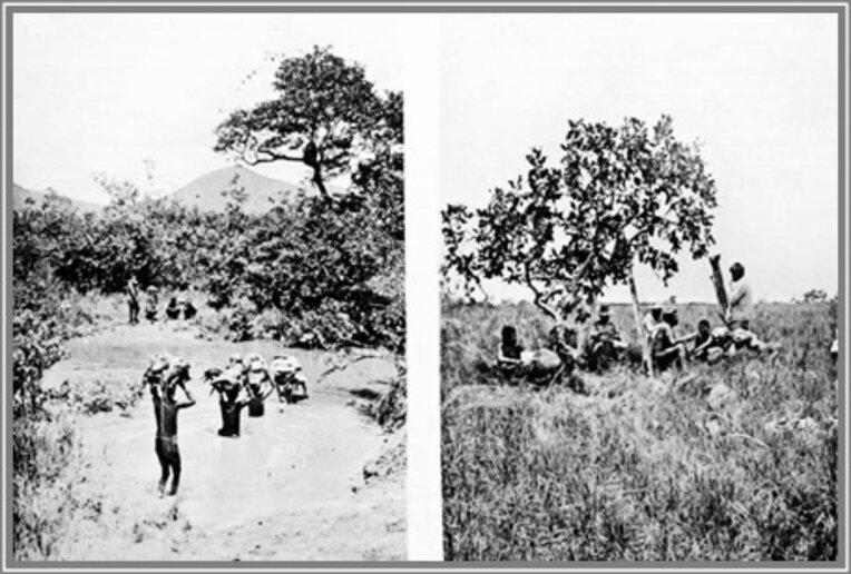 Córrego na serra do Banco e Imagem 07b – Repouso na Savana (Grünberg)