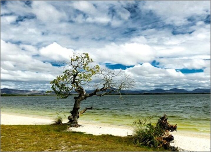 Lago de Caracaranã (Jessé Souza)