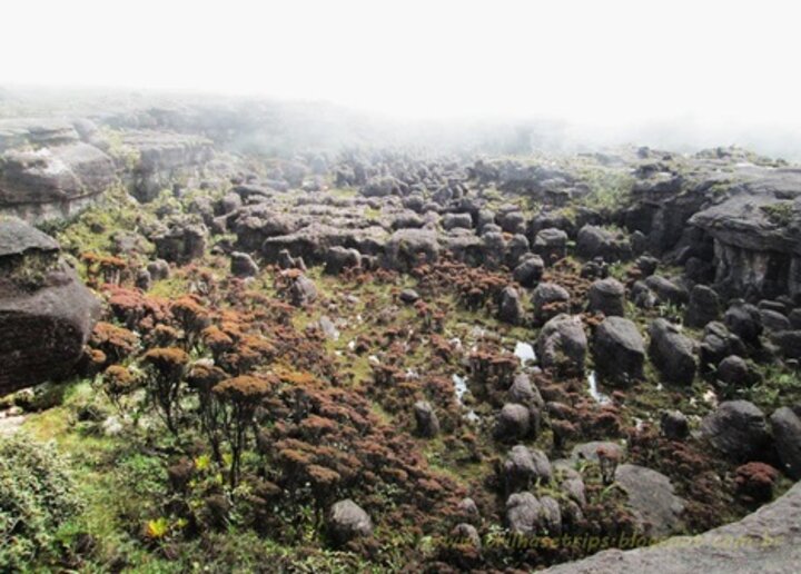 Monte Roraima, RR