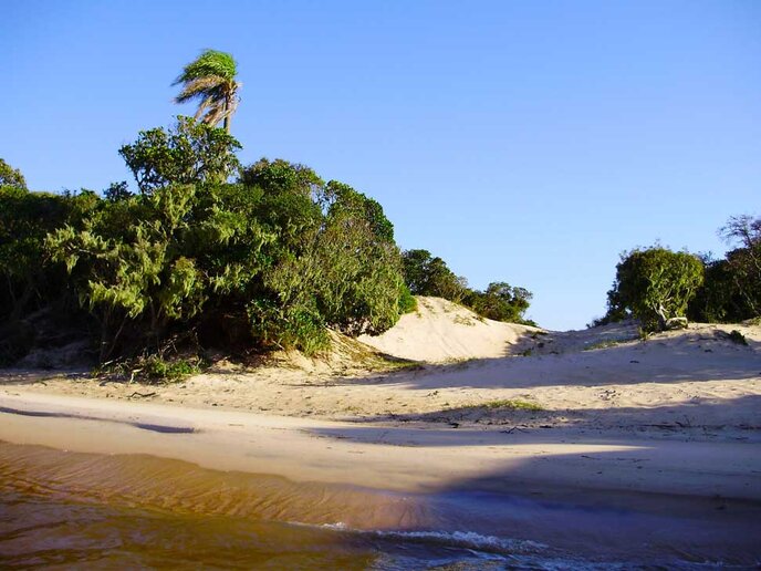 Banco dos Desertores