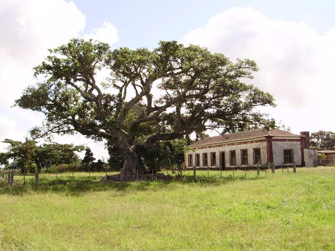 Fazenda da Quinta, Santa rita do Sul