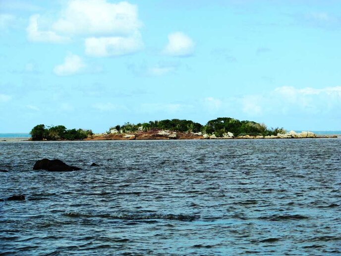 Ilha do Arado Velho