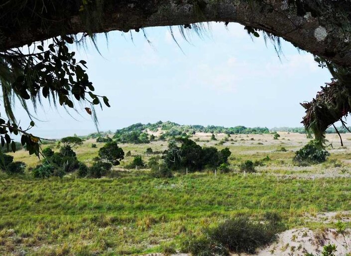 Arambaré, Capital das Figueiras, RS