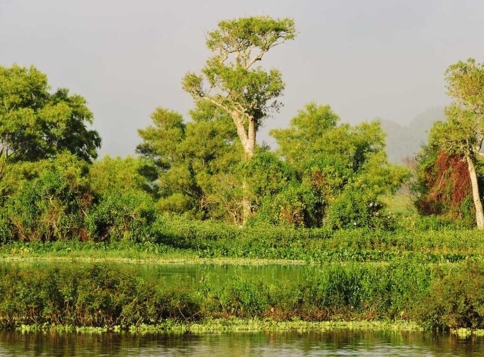 Rio Jaguarão