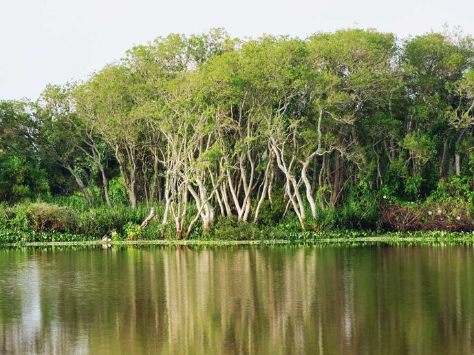 Rio Jaguarão