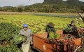 Fecomércio-RO alerta produtores