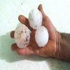 AQUECIMENTO: chuva de pedras no Rio Grande do Sul