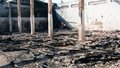 Judiciário de RO recebe apoio de CNJ para cobrar providências sobre incêndio na colonia penal 