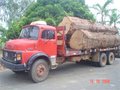 PRF apreende 26m ³ de madeiras sem documentação