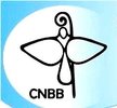 Nota da CNBB sobre a redução da maioridade penal