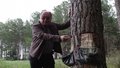 Goma-resina de pinus amplia mercado em Vilhena e região