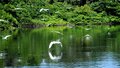 TURISMO ECOLÓGICO: Pesquisador chinês conhece as belezas da Reserva do Lago do Cuniã