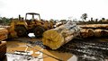 Representantes da FIERO e de sindicatos madeireiros de Rondônia discutem Portaria 443 no Ministério do Meio Ambiente