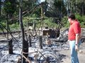 Flor do Amazonas terá proteção emergencial de órgãos federais e estaduais