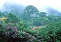 Efeito estufa: Expedição vai medir quanto a expansão agrícola da amazônia contribui
