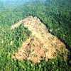 REVISTA VEJA: Desmatamento cresce 600% na fronteira