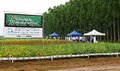 De olho na safrinha, produtores do Cone Sul de RO apostam em cultivares precoces de soja