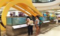 Exposição dos peixes do rio Madeira será encerrada no sábado