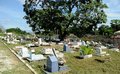 Limpeza de cemitérios é concluída com antecedência