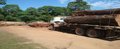 BPA apreende toros e materiais usados para extração ilegal de madeira