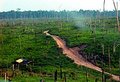 Terra indígena xavante volta a ser invadida em Mato Grosso