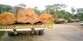PRF apreende 51 m³ de madeira em Jaci