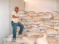 Soja para produção de alimentos se estraga em Vilhena