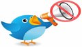 TSE proíbe uso do Twitter antes da campanha eleitoral