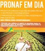 BASA incentiva assentados de Rondônia a negociarem dívidas do Pronaf