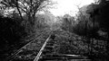 Empresário norte-americano ficou milionário construindo ferrovias fantasmas