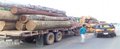 PRF apreende 46m³ de madeiras oriundas do município de Itapuã do Oeste-RO 