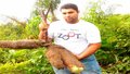 Mandiocaba gigante do Pará pesa 37 quilos