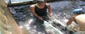 Curso criação de peixes em sistema tanques-rede 